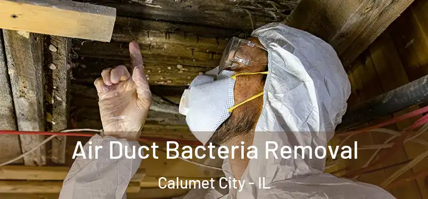  Air Duct Bacteria Removal Calumet City - IL