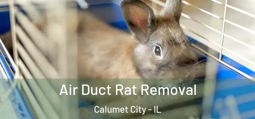  Air Duct Rat Removal Calumet City - IL