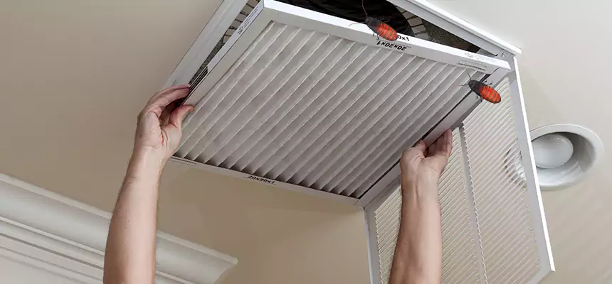 Preventive Cockroach-Proofing for Ducts in Calumet City