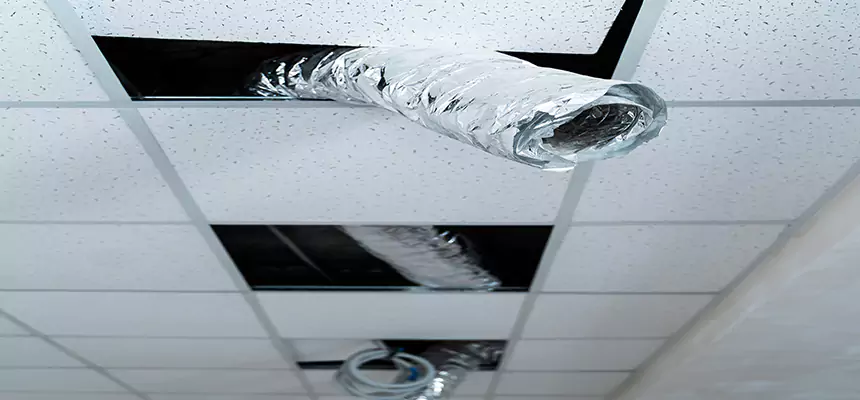 Our Air Duct Pet Hair Removal Services in Calumet City, IL