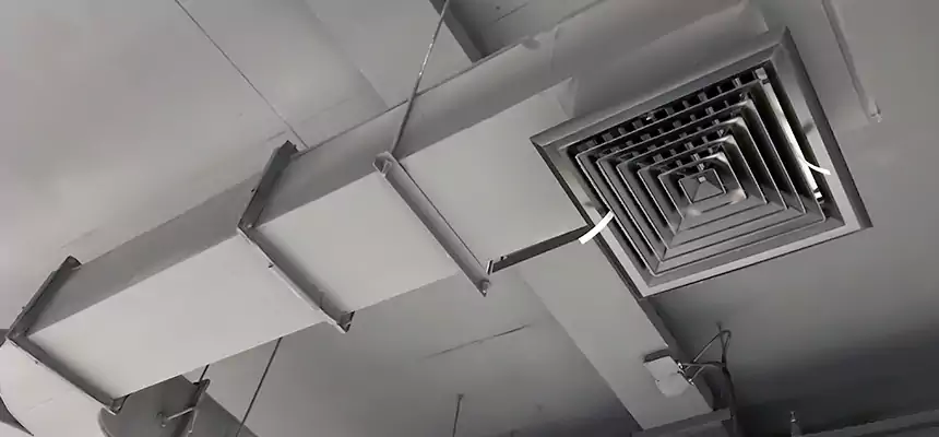 Restorative Allergy Relief Vent Cleaning – Coil, Blower & Housing Detail in Calumet City