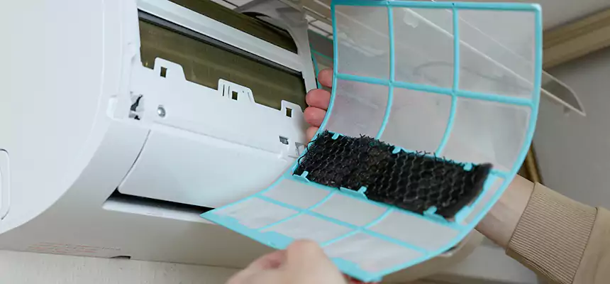 Gentle Ductwork Odor-Control Pet Dander Duct Cleaning in Calumet City, IL