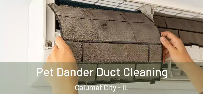  Pet Dander Duct Cleaning Calumet City - IL