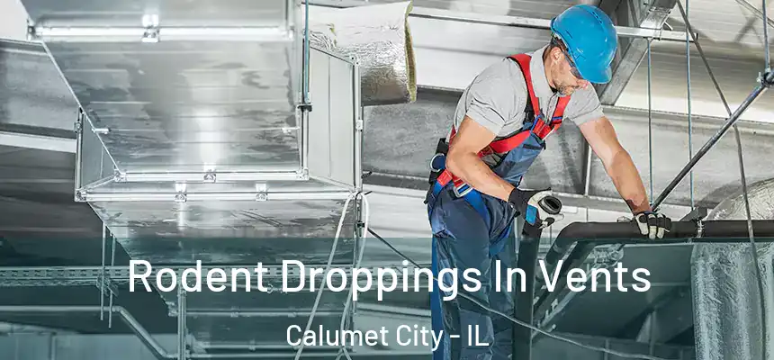  Rodent Droppings In Vents Calumet City - IL