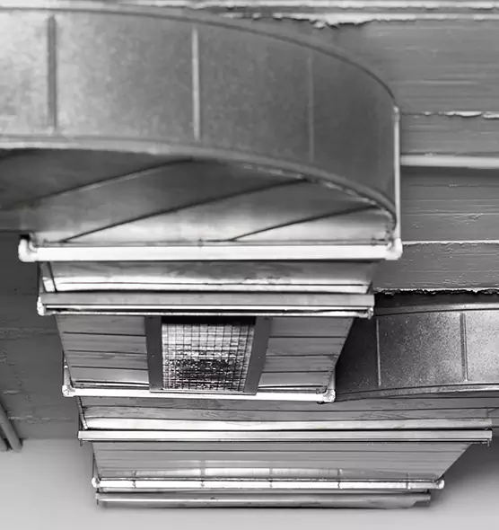 Professional Air Duct Pest Removal in Calumet City, IL