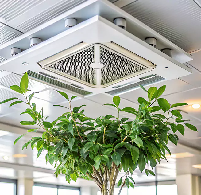 Why Homeowners & Businesses Trust Us in Calumet City, IL?