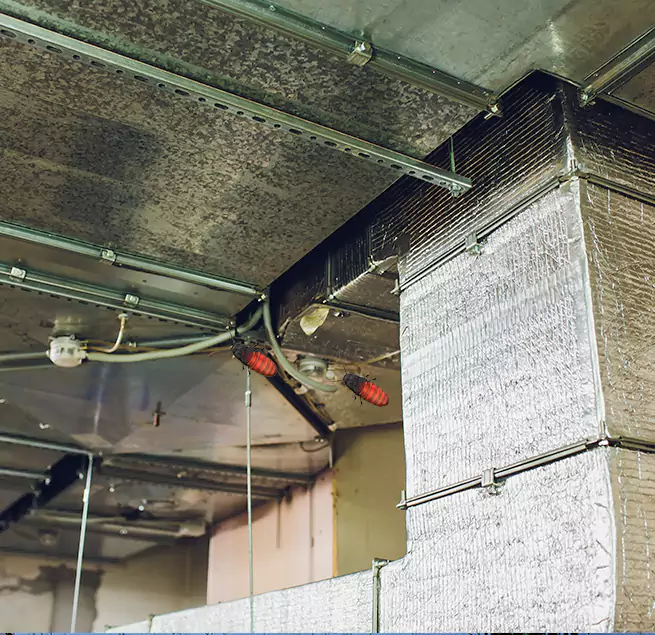 Why Homeowners & Businesses Trust Us Calumet City, IL?