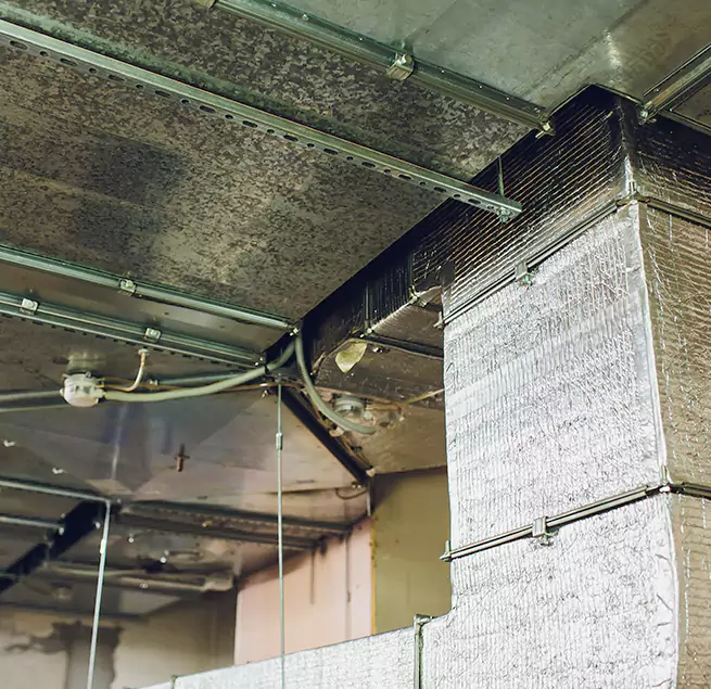 Why Homeowners & Businesses Trust Us in Calumet City, IL?